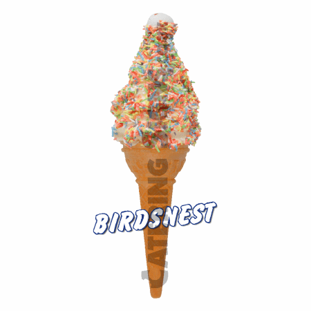 Birdsnest - Single Cone