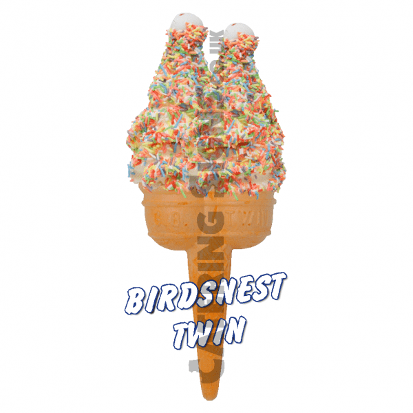 Birdsnest - Twin Cone