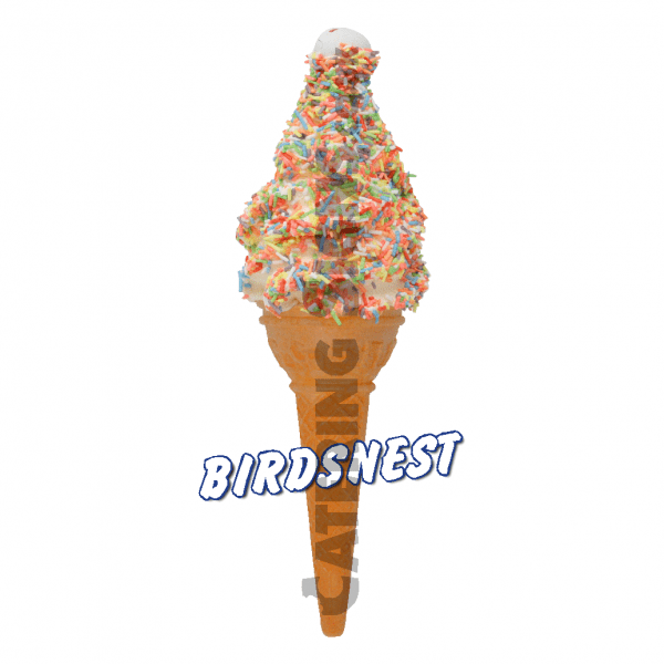 Birdsnest - Single Cone