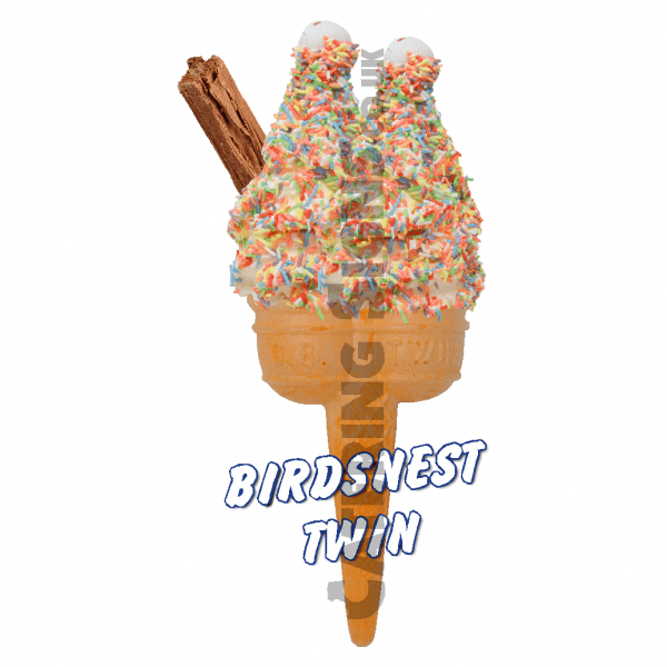 Birdsnest - Twin Cone - Image 2