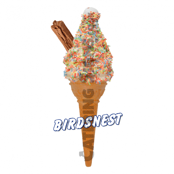 Birdsnest - Single Cone - Image 2