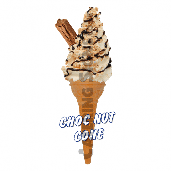 Choc Nut - Single Cone - Image 2