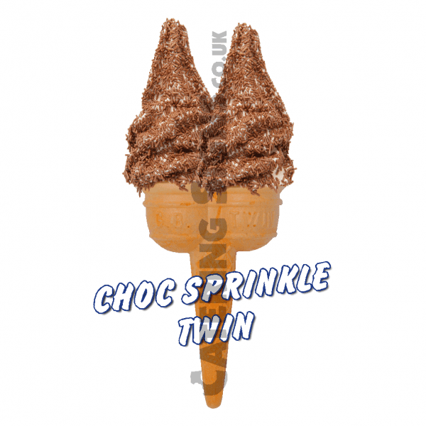 Chocolate Sprinkles - Twin Cone