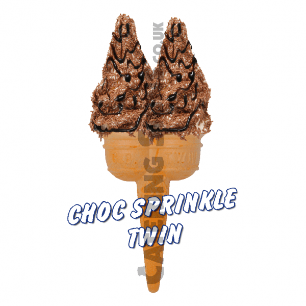 Choc Sprinkles & Sauce - Twin Cone