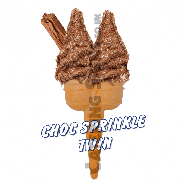 Chocolate Sprinkles - Twin Cone - Image 2