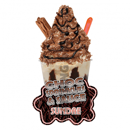 Choc Sprinkles & Sauce- Sundae