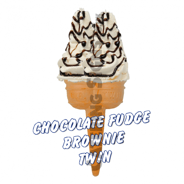 Chocolate Fudge Brownie - Twin Cone