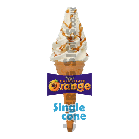 Chocolate Orange - Single Cone