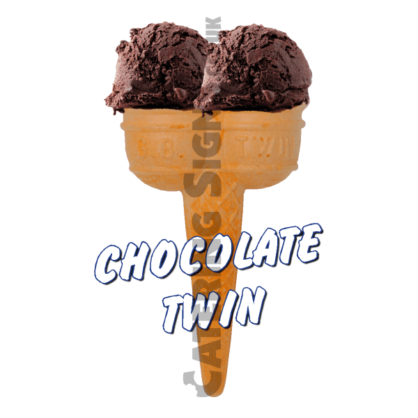 Chocolate Twin Scoop