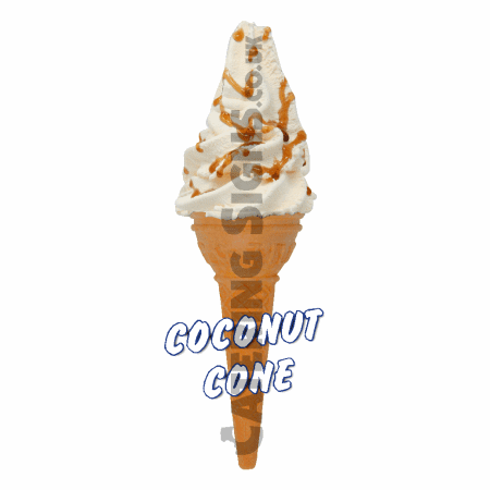 Coconut - Single Cone