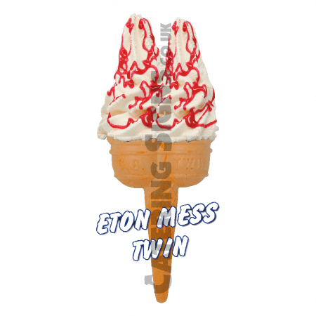 Eton Mess - Twin Cone