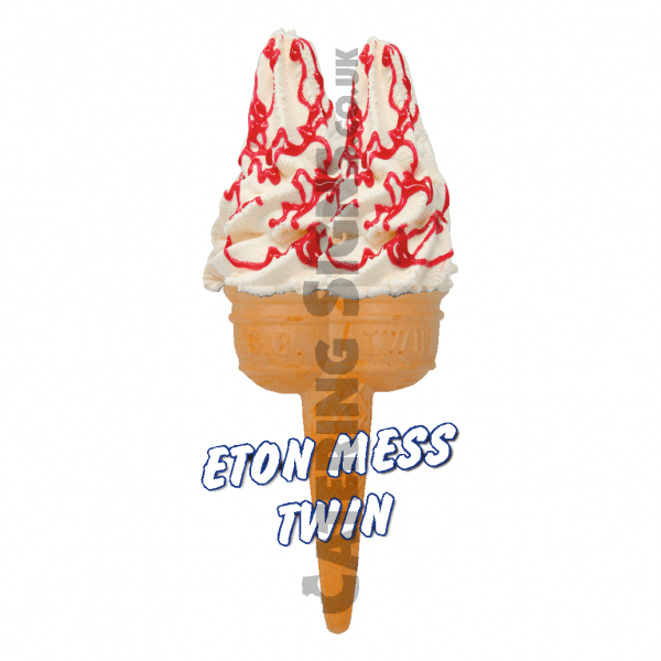 Eton Mess - Twin Cone