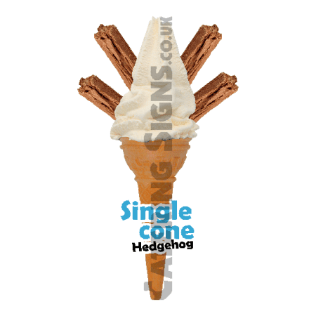 Hedgehog - Single Cone