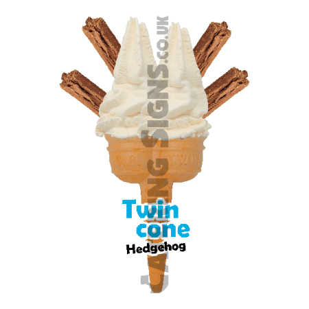 Hedgehog - Twin Cone