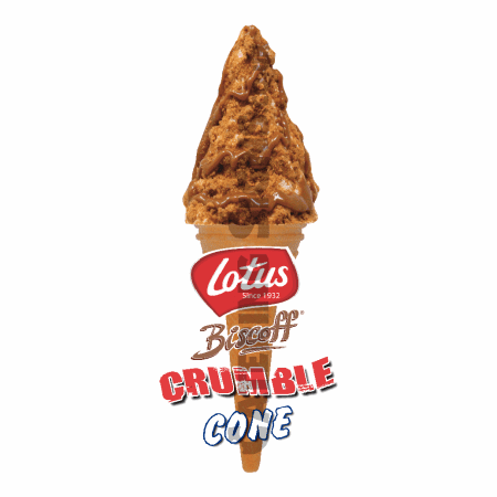 Lotus Biscoff - Single Cone