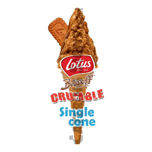 Lotus Biscoff - Single Cone - Image 3
