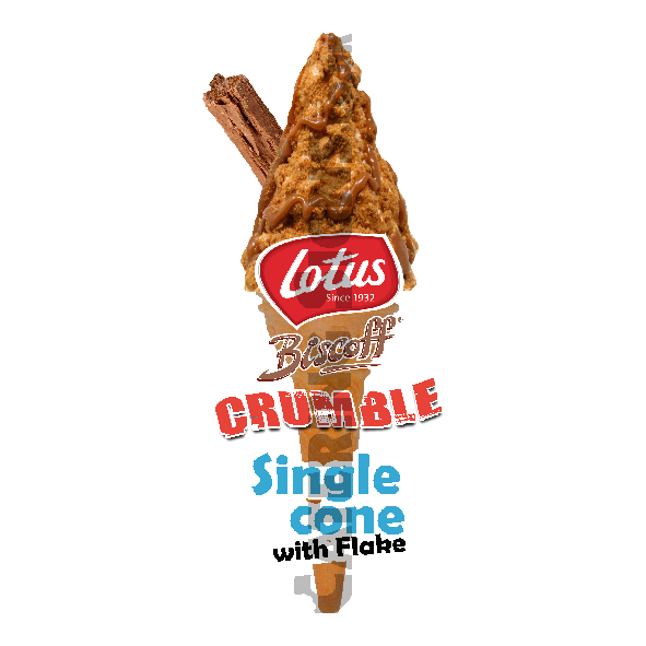 Lotus Biscoff - Single Cone - Image 2