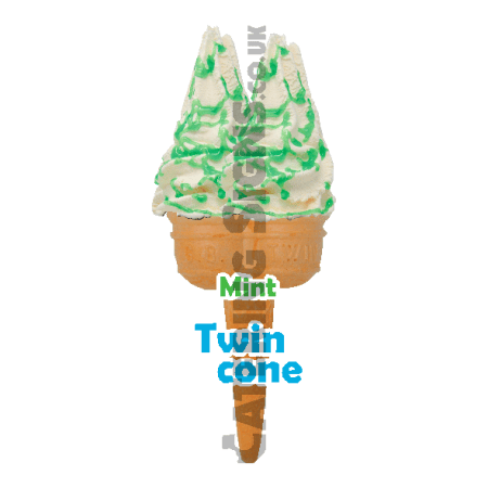 Mint - Twin Cone