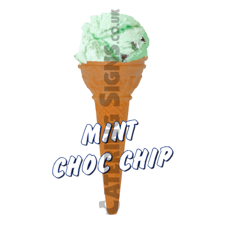 Mint Choc Chip Scoop