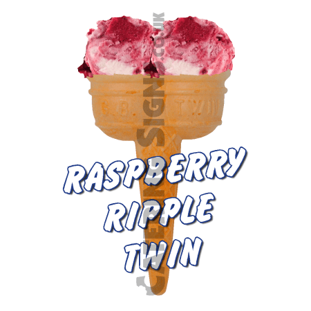 Raspberry Ripple Twin Scoop