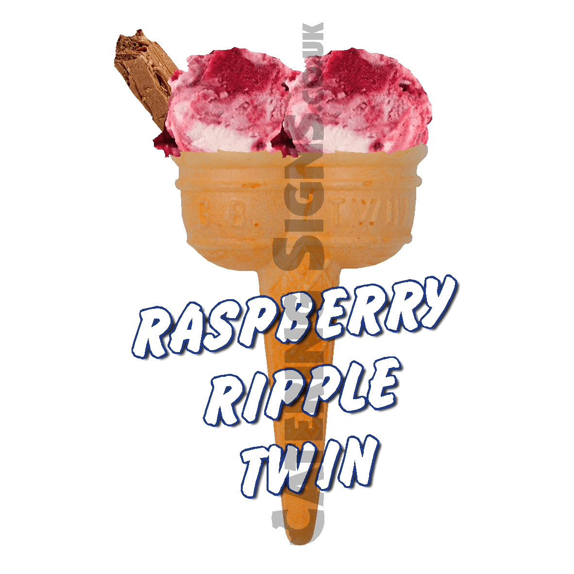 Raspberry Ripple Twin Scoop - Image 2