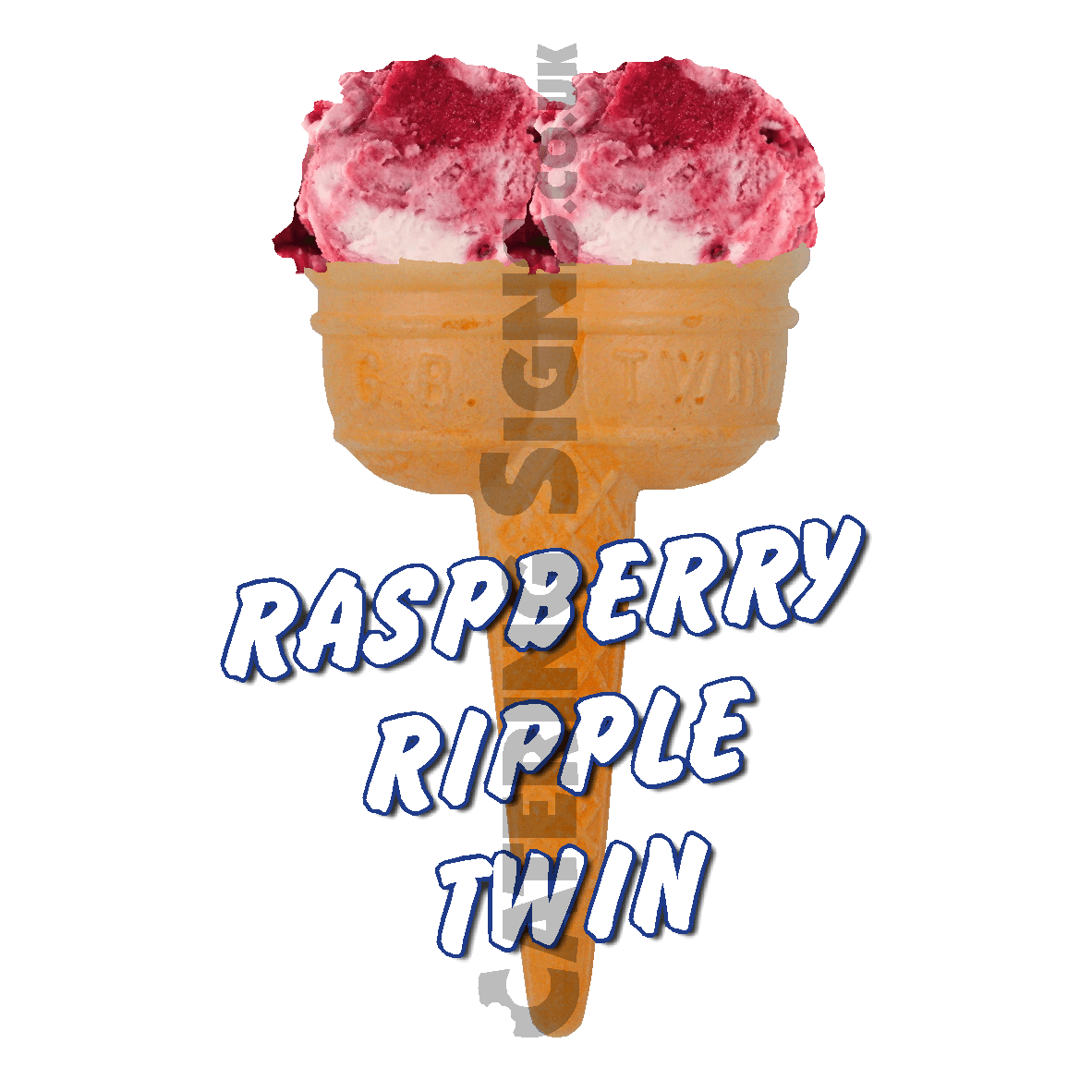 Raspberry Ripple Twin Scoop