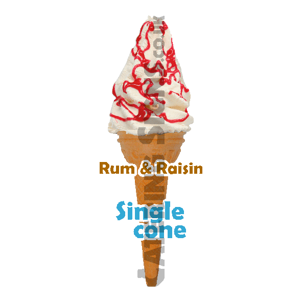 Rum & Raisin - Single Cone