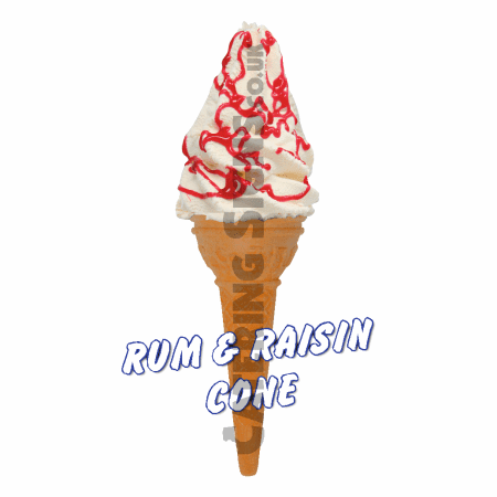 Rum & Raisin - Single Cone