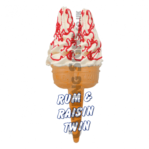 Rum & Raisin - Twin Cone
