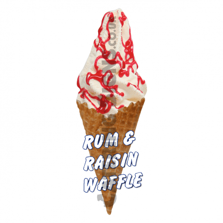 Rum & Raisin - Waffle Cone