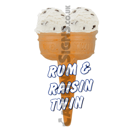 Rum & Raisin Twin Scoop