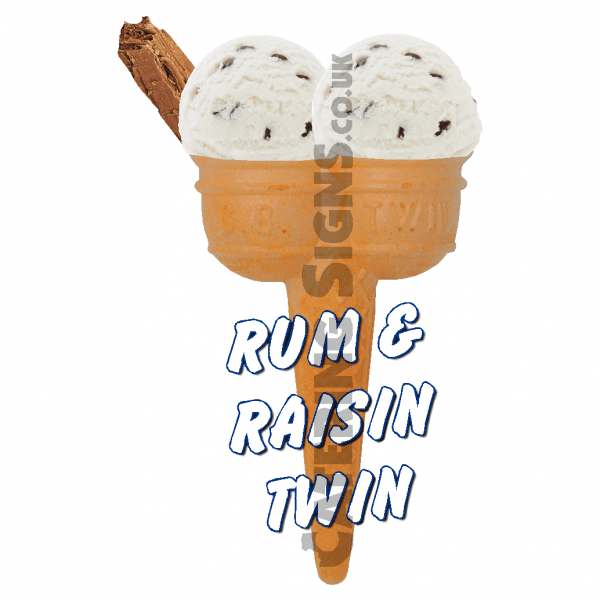 Rum & Raisin Twin Scoop - Image 2