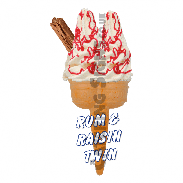 Rum & Raisin - Twin Cone - Image 2