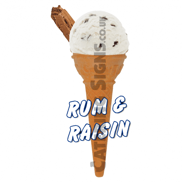 Rum & Raisin Scoop - Image 2
