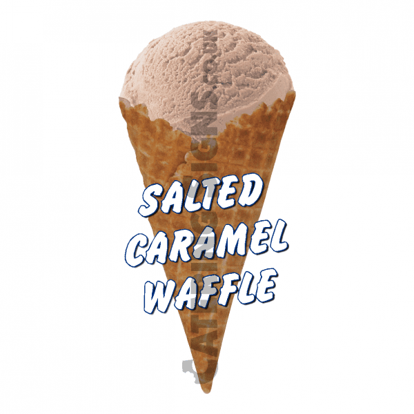 Salted Caramel Waffle Scoop
