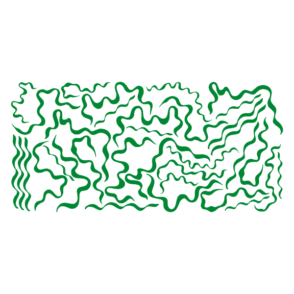 34x Squiggles - Image 10